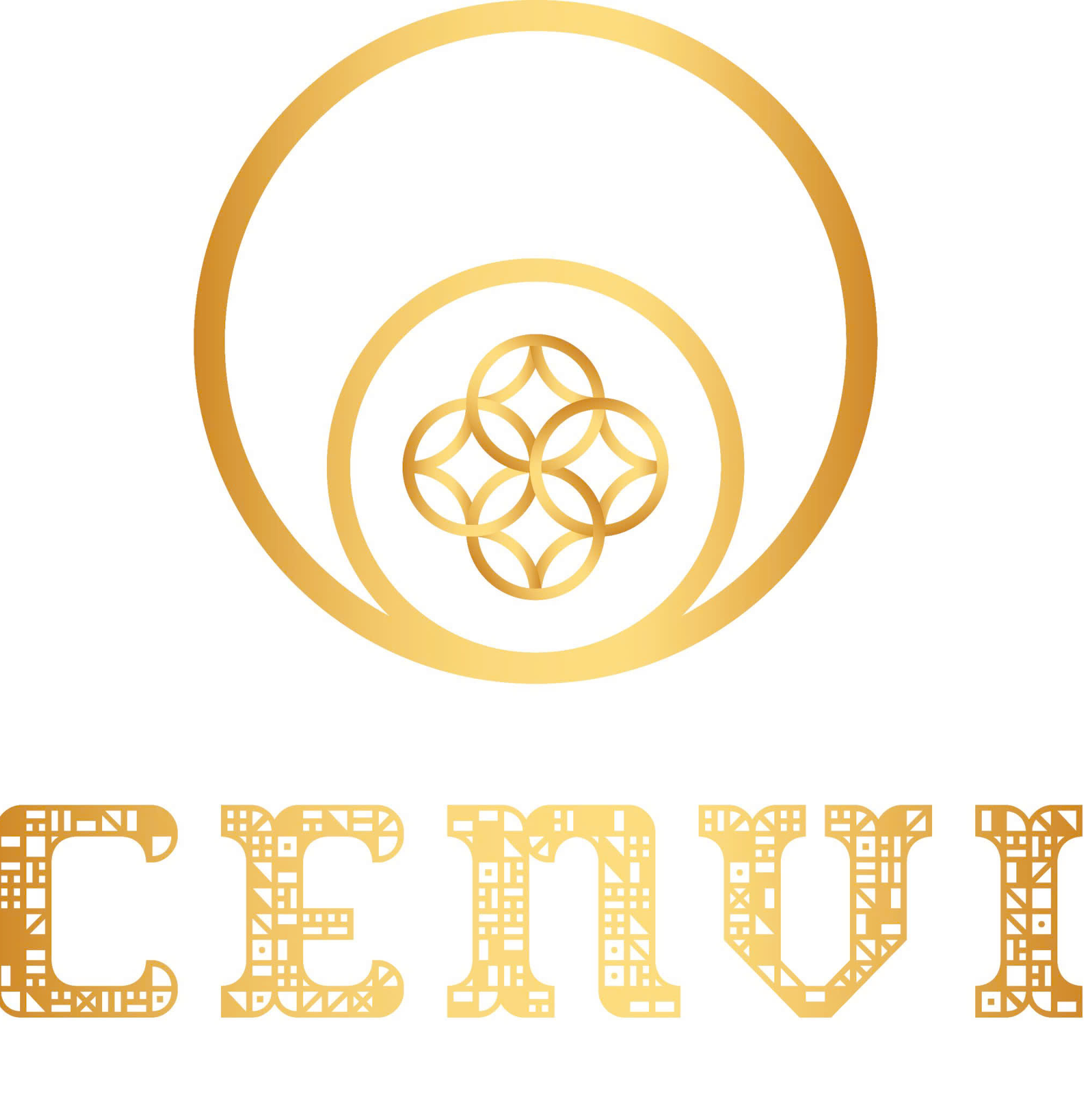 Logo Công ty Cổ phần Tư vấn Giải pháp Cenvi